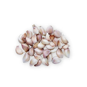 Fresh Thai garlic whole cloves medium size, separated garlic cloves, 500g pack isolated on white background