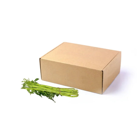 Bulk 5kg pack of Thai Morning Glory (Medium) on white background — wholesale greens for restaurants and catering.