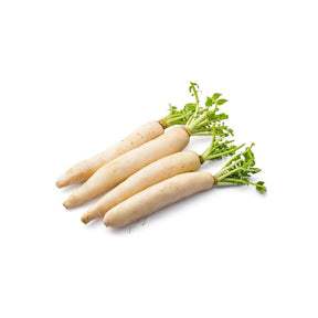 Fresh Thai radish, long white radish roots, 3kg bulk pack isolated on white background