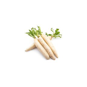 Fresh Thai radish, long white radish roots sold per kg isolated on white background