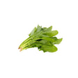 Thai Spinach 250g - Bangkok FreshLink