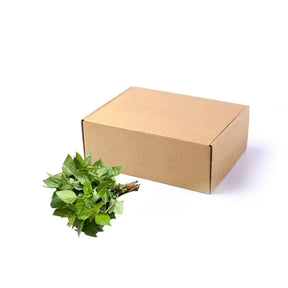 Fresh Thai sweet basil leaves, aromatic green herb, 5kg bulk pack isolated on white background