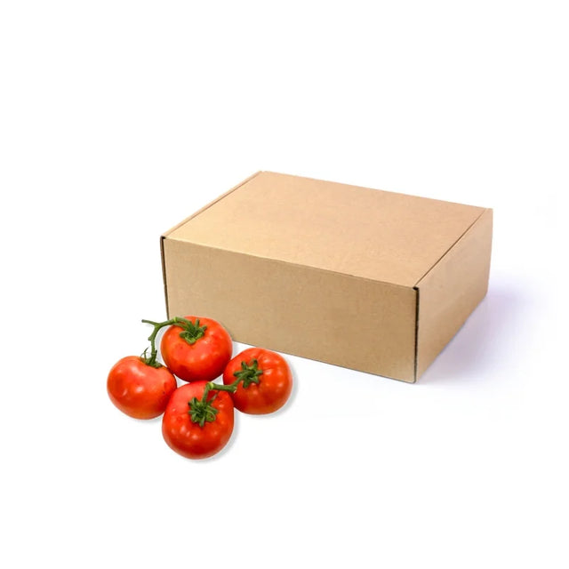 Bulk 5kg pack of Thomas Tomato on white background — wholesale tomatoes for restaurants and catering.