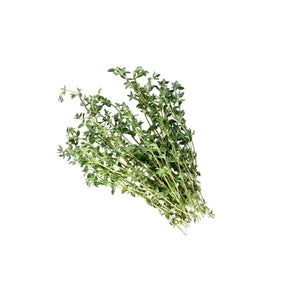 Fresh thyme leaves on a white background