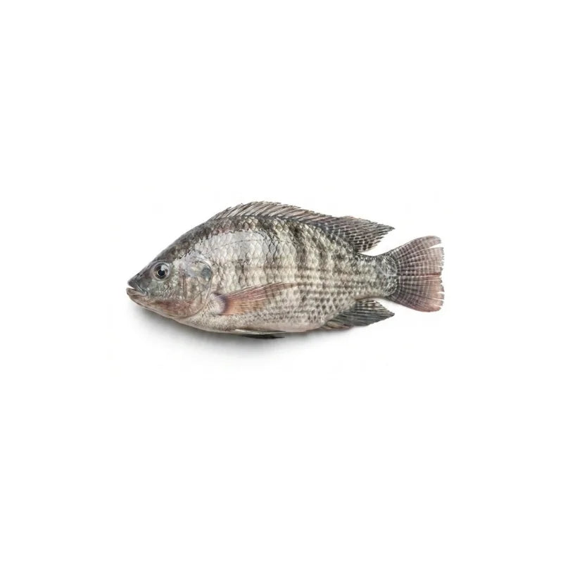 Tilapia Per kg