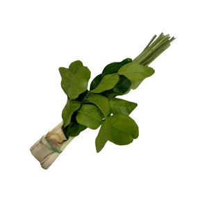 Tom yum herb set pack on a white background