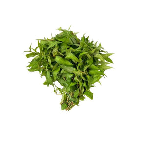 Vietnamese coriander leaves on a white background