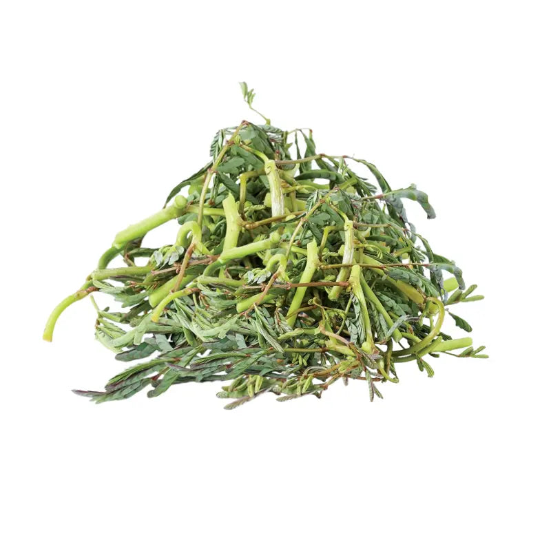Water Mimosa Trimmed Per kg