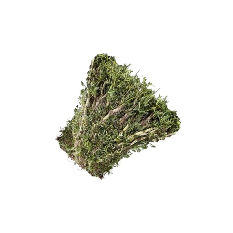 Water Mimosa 500g - Bangkok FreshLink