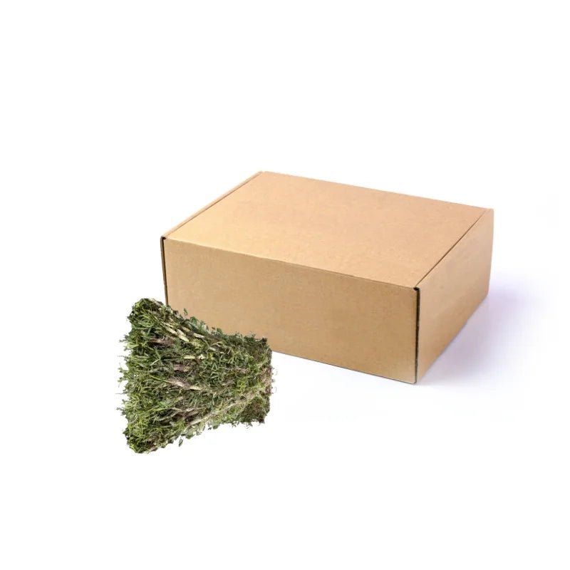 Water Mimosa 5kg - Bangkok FreshLink