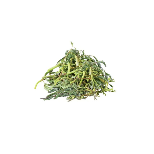 Fresh Trimmed Water Mimosa 500g pack on white background — crunchy and aromatic stems for salads and stir-fries.