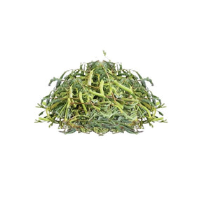 Trimmed water mimosa on a white background