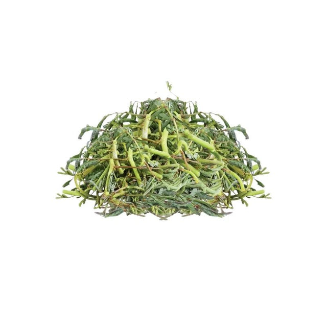 Water Mimosa (Trimmed) Per kg - Bangkok FreshLink