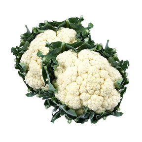 White Thai cauliflower on a white background