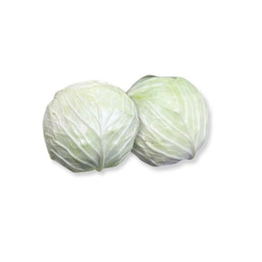 Fresh heavy white cabbage, dense tightly packed heads sold per kg isolated on white background