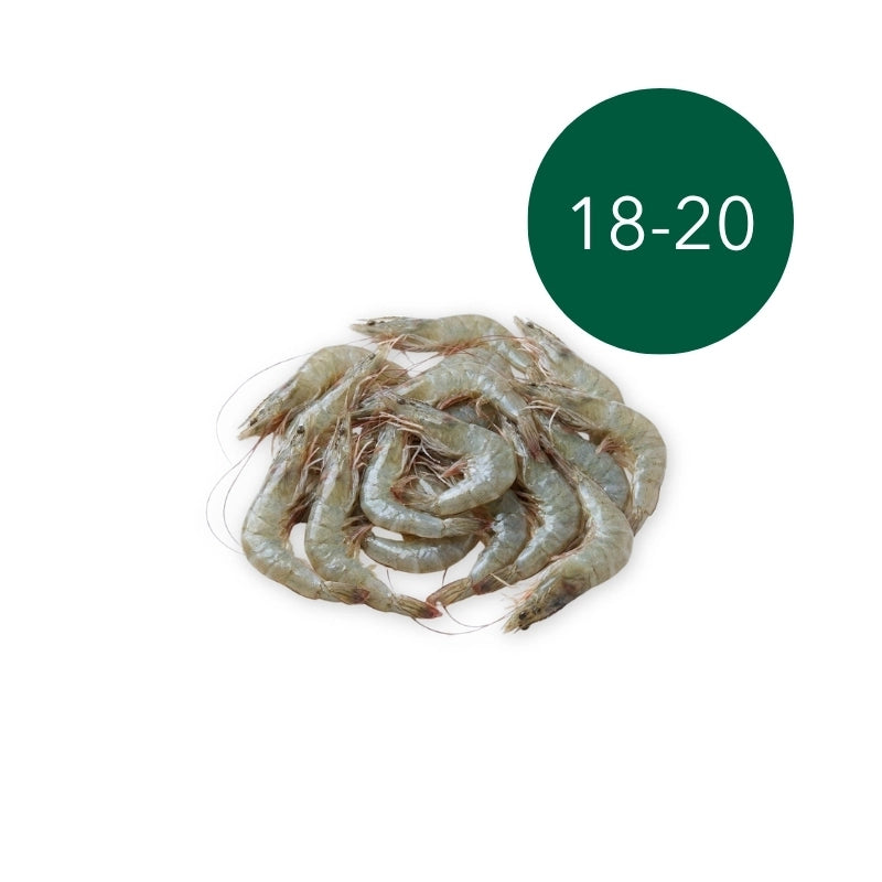 กุ้งขาว 18–20 ตัวต่อกก.