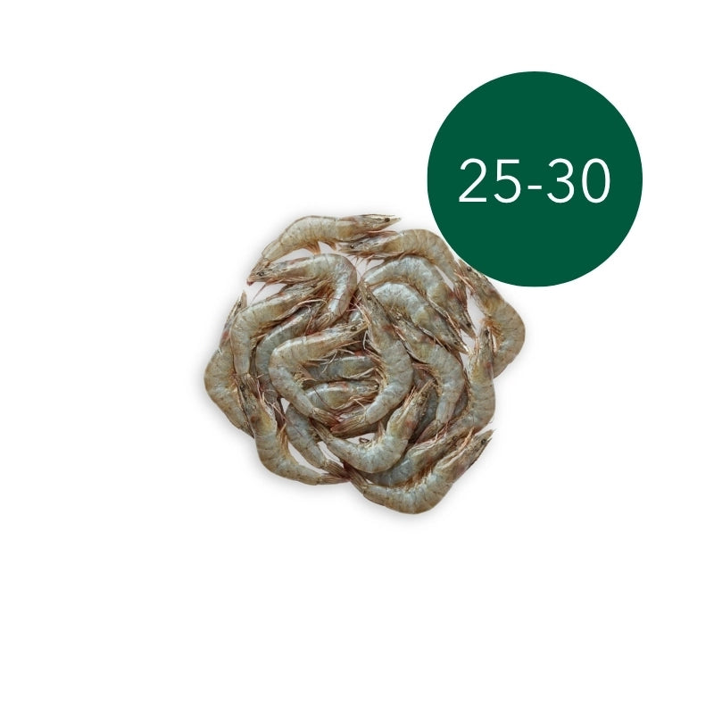 White Shrimp (25–30 Pieces/kg)