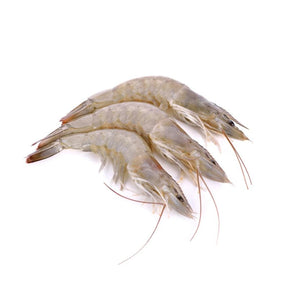 White shrimp on a white background