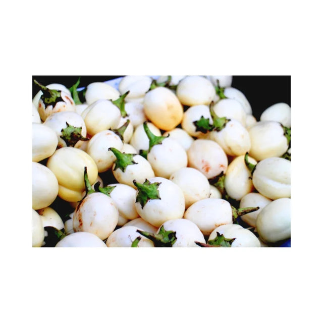 Fresh White Turtle Egg Eggplant 500g pack on white background — small white eggplants perfect for Thai curries and stir-fried dishes.