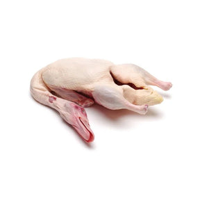 Whole duck on a white background