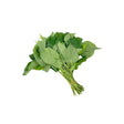 Bulk 5kg pack of Wild Betel Leaf on white background — wholesale betel leaves for restaurants and catering.