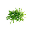 Wild Rocket 100g - Bangkok FreshLink