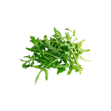 Wild Rocket 100g - Bangkok FreshLink