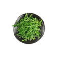 Wild Rocket 500g - Bangkok FreshLink