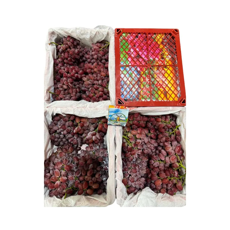 Windmill Brand Seedless Red Grapes (Total Weight Including Basket 4.5kg)