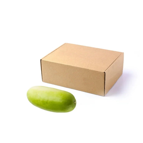 Fresh Winter Melon (Young) 9.5–10kg on white background — large young melon for restaurants, catering, and wholesale.