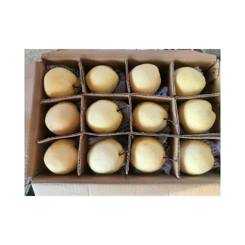 Xin Nong Yuan Brand Honey Pear Cream Leaf Box Size 45