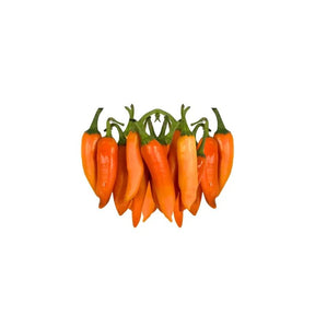 Fresh yellow chili spur peppers, long mild yellow chilies, 500g pack isolated on white background