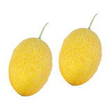 แตงธิเบตเหลือง 2 ลูก