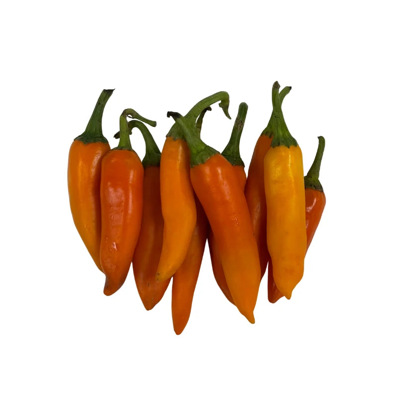 Yellow Chili Per kg