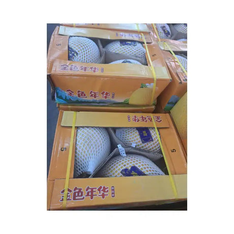 Yellow Melon 5168 Orange Box (3 Fruits per 11kg Box)