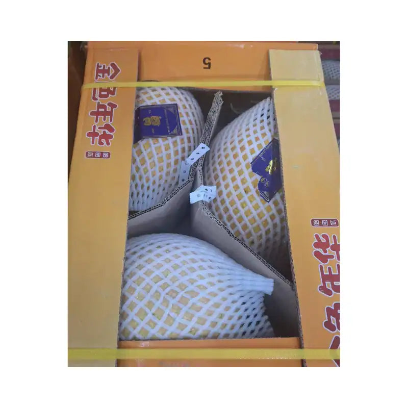 Yellow Melon 5168 Orange Box (3 Fruits per 11kg Box)