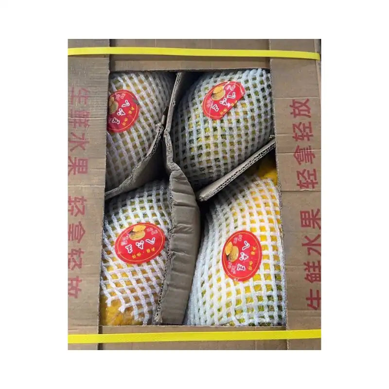 Yellow Melon Brown-Red Box (4 Fruits per 13kg Box)