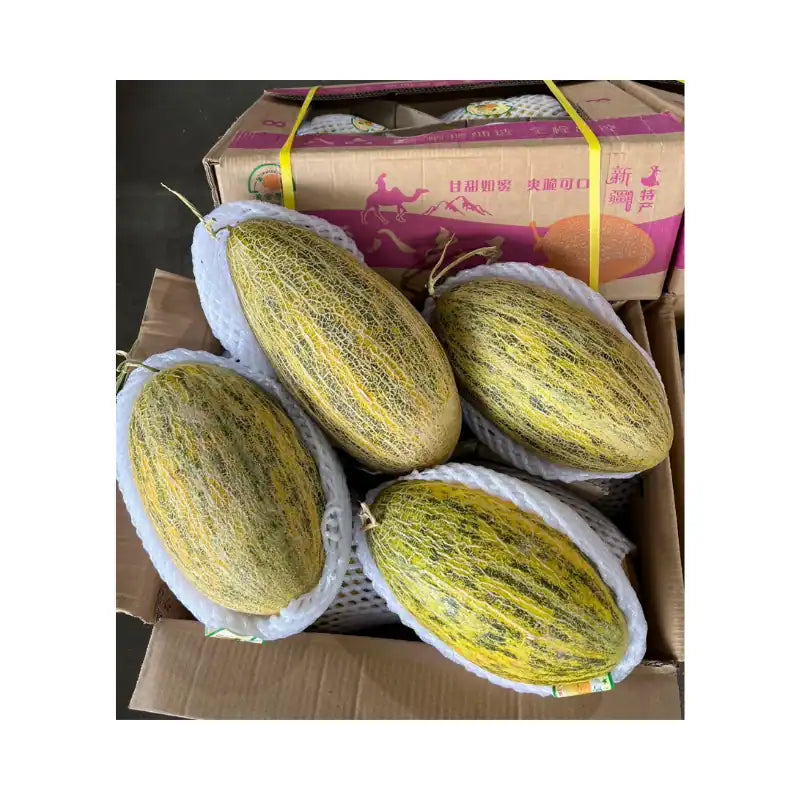 Yellow Melon Pink-Brown Box (4 Fruits per 13kg Box)
