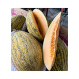 Yellow Melon Pink-Brown Box (4 Fruits per 13kg Box)
