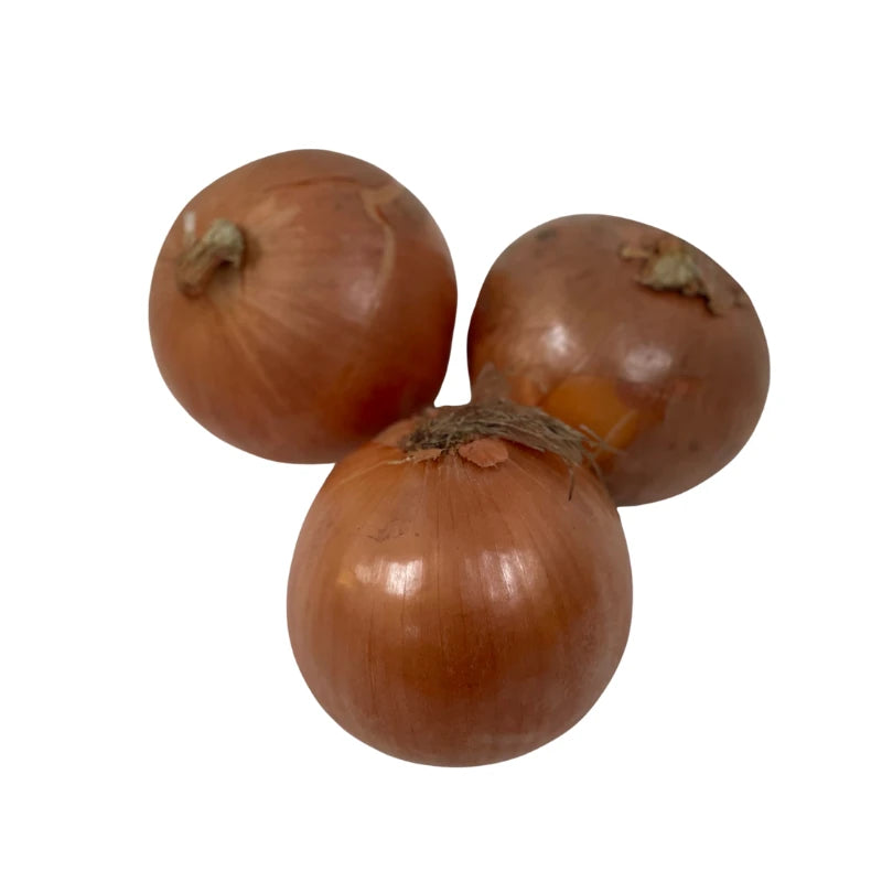 Yellow Onion 3-4 pcs/kg, 10kg per Sack