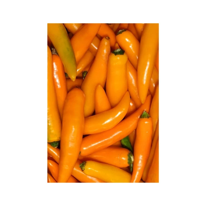Yellow Spur Chili Stemmed Per kg