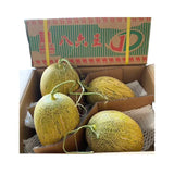 แตงธิเบตเหลือง ลังละ