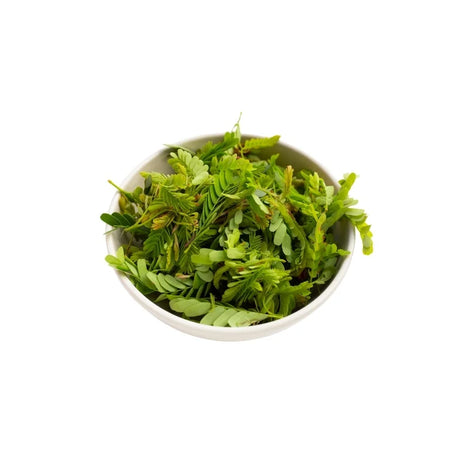Fresh Young Tamarind Leaves 250g pack on white background — aromatic tamarind leaves for authentic Thai and Lao dishes.