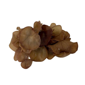 Black wood ear mushrooms on a white background