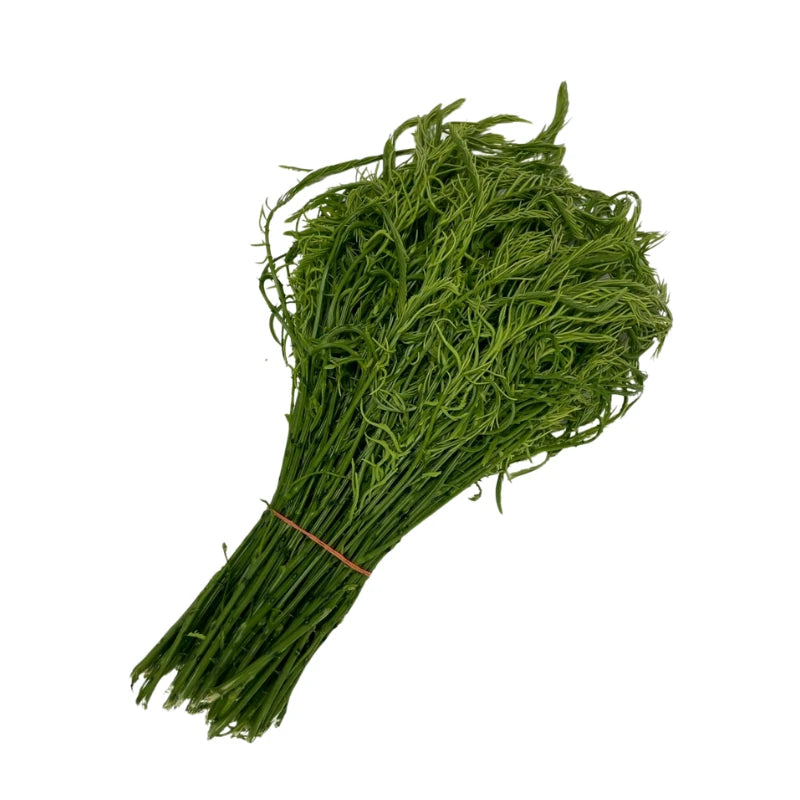 刺梗豆（Cha-om）