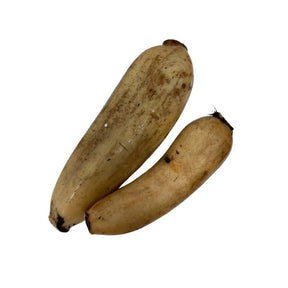 Fresh lotus root on a white background