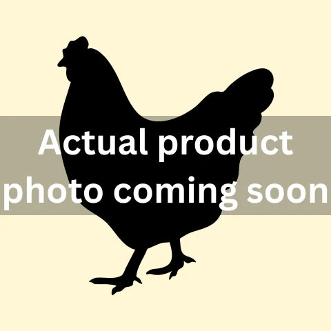 ไก่เหนียวสับชิ้น ไก่เหลือง สดทั้งตัว 1.0-1.2 กก./ตัว กก.ละ