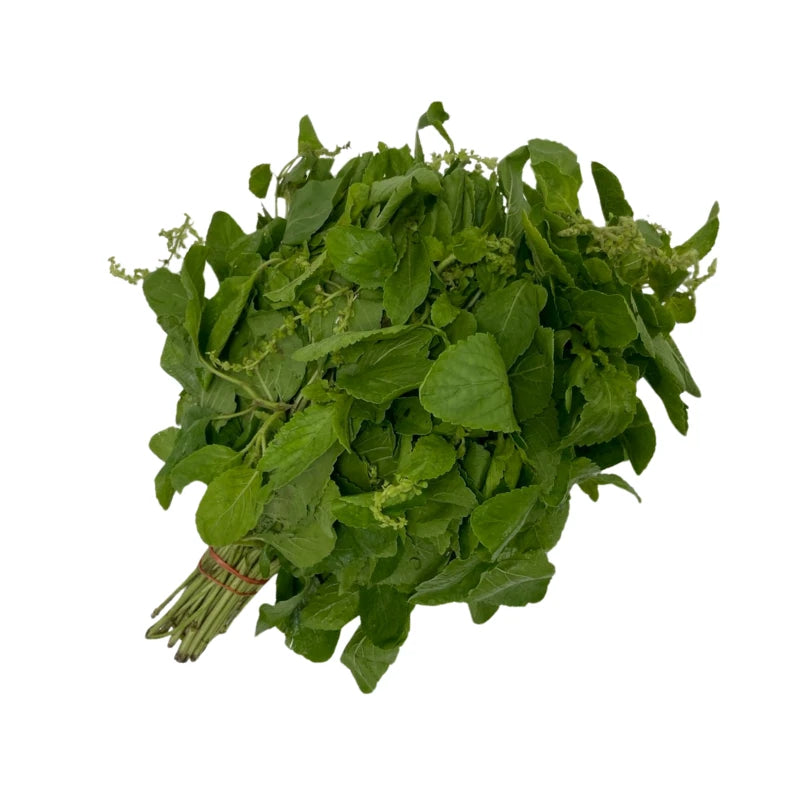 White Holy Basil Leaves Small Size Per kg
