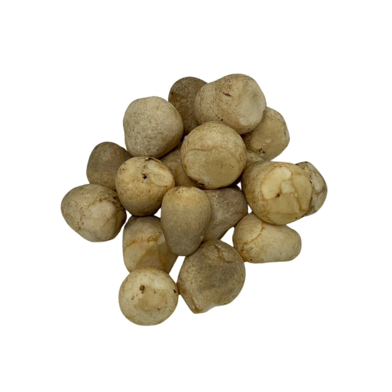 草菇（中号，20-35克/个）