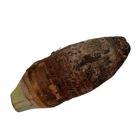 Taro Root 0.8-1kg/Root Per Piece